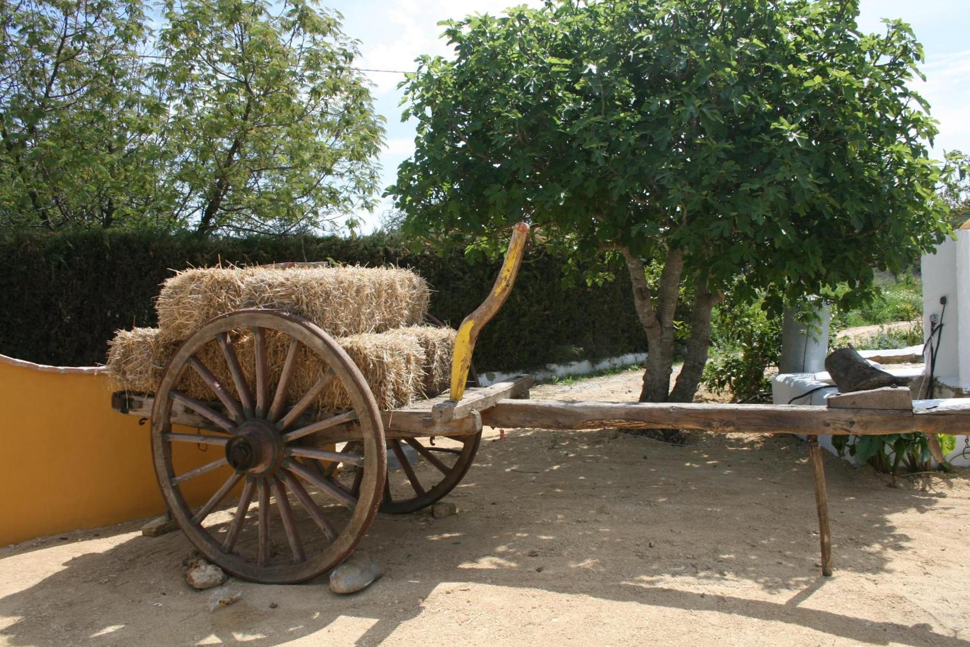 Hacienda Los Majadales Conil De La Frontera Esterno foto