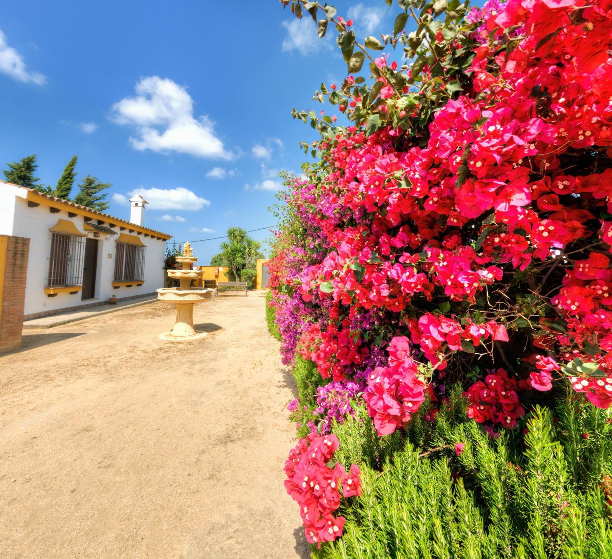 Hacienda Los Majadales Conil De La Frontera Esterno foto